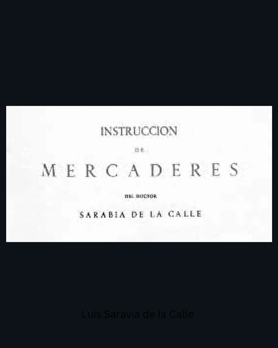 Luis Saravia de la Calle